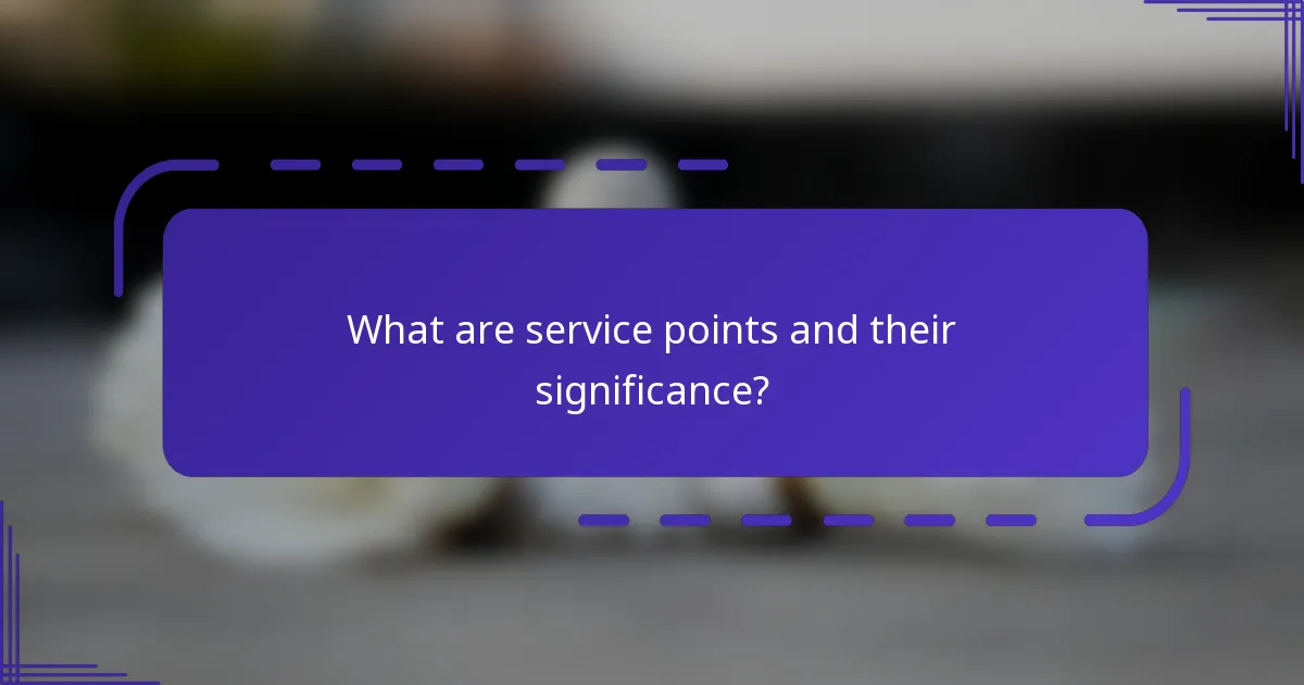 ¿Qué son los puntos de servicio y su importancia?